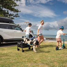 Load image into Gallery viewer, 8007567